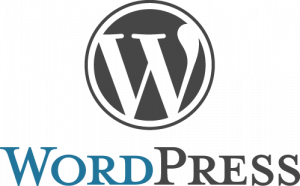 wordpress sivuston nopeustesti